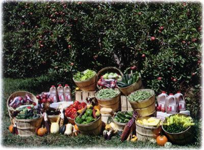 Display of Henderson's Best apples, vegetables and cider in baskets