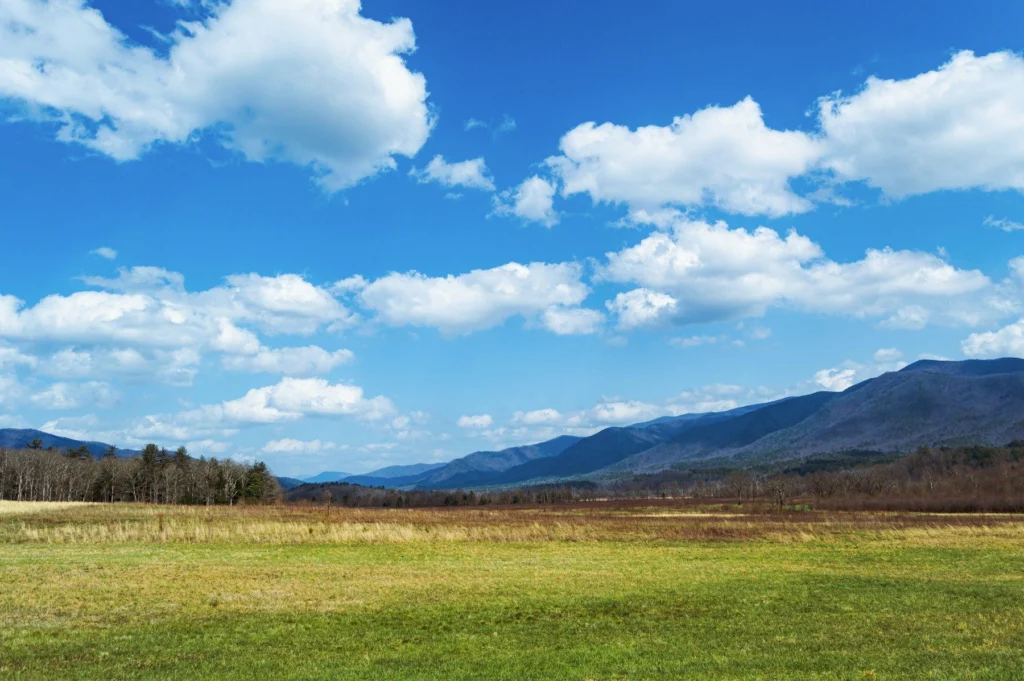 Green farm field with mountains in the distance
